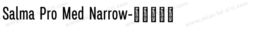 Salma Pro Med Narrow字体转换